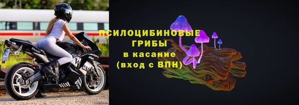 герыч Арсеньев