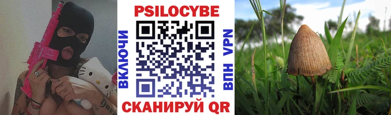 Галлюциногенные грибы ЛСД Пучеж