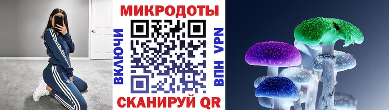 купить наркотики цена  Пучеж  Галлюциногенные грибы мухоморы 